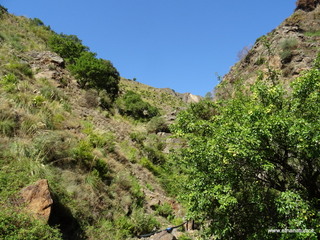 nte Scuderi-05-09-2020 09